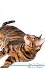 Image for Toyger Cat Affirmations Workbook Toyger Cat Presents : Positive and Loving Affirmations Workbook. Includes: Mentoring Questions, Guidance, Supporting You.