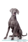 Image for Weimaraner Affirmations Workbook Weimaraner Presents : Positive and Loving Affirmations Workbook. Includes: Mentoring Questions, Guidance, Supporting You.