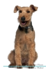 Image for Welsh Terrier Affirmations Workbook Welsh Terrier Presents : Positive and Loving Affirmations Workbook. Includes: Mentoring Questions, Guidance, Supporting You.