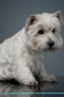 Image for West Highland White Terrier Affirmations Workbook West Highland White Terrier Presents : Positive and Loving Affirmations Workbook. Includes: Mentoring Questions, Guidance, Supporting You.