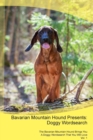 Image for Bavarian Mountain Hound Presents