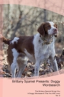 Image for Brittany Spaniel Presents
