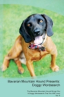 Image for Bavarian Mountain Hound Presents