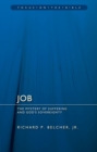 Image for Job  : the mystery of suffering and God&#39;s sovereignty