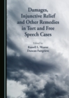 Image for Damages, injunctive relief, and other remedies in tort and free speech cases