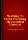 Image for Mastering the credit processing mechanism in Mauritius: demystifying the process