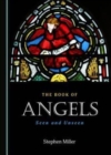 Image for The book of angels  : seen and unseen