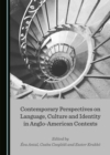 Image for Contemporary Perspectives On Language, Culture and Identity in Anglo-american Contexts
