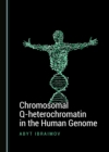Image for Chromosomal Q-heterochromatin in the Human Genome