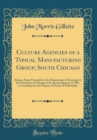 Image for Culture Agencies of a Typical Manufacturing Group; South Chicago: Being a Paper Presented to the Department of Sociology in the University of Chicago in the Spring Quarter of 1901, in Candidacy for th
