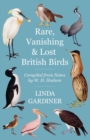 Image for Rare, Vanishing and Lost British Birds : Compiled from Notes by W. H. Hudson