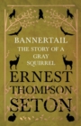Image for Bannertail - The Story of a Gray Squirrel