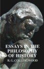 Image for Essays in the Philosophy of History