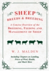 Image for Sheep Breeds and Breeding - A Concise Overview of the Breeding, Feeding and Management of Sheep, Including Chapters on Lambing, Prices of Wool, Health, and Much More