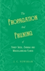 Image for The Propagation and Pruning of Hardy Trees, Shrubs and Miscellaneous Plants