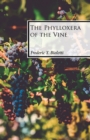 Image for The Phylloxera of the Vine