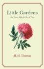 Image for Little Gardens; And How to Make the Most of Them