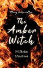 Image for Mary Schweidler, the Amber Witch