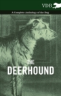 Image for Deerhound - A Complete Anthology of the Dog -