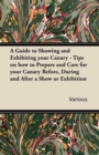 Image for Guide to Showing and Exhibiting Your Canary - Tips on How to Prepare and Care for Your Canary Before, During and After a Show or Exhibition