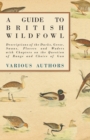 Image for Guide to British Wildfowl - Descriptions of the Ducks, Geese, Swans, Plovers and Waders With Chapters on the Question of Range and Choice of Gun