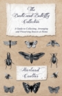 Image for Beetle and Butterfly Collection - A Guide to Collecting, Arranging and Preserving Insects at Home
