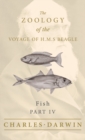 Image for Fish - Part IV - The Zoology of the Voyage of H.M.S Beagle