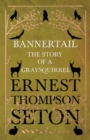 Image for Bannertail - The Story of a Graysquirrel