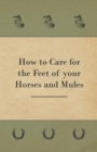Image for How to Care for the Feet of your Horses and Mules.