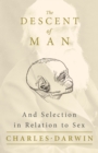 Image for Descent of Man - And Selection in Relation to Sex
