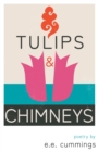 Image for Tulips and Chimneys - Poetry by e.e. cummings