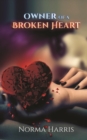 Image for Owner of a Broken Heart