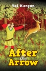 Image for After the arrow