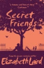 Image for Secret friends