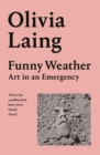 Image for Funny weather  : art in an emergency