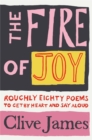 Image for The Fire of Joy