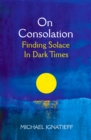 Image for On consolation  : finding solace in dark times