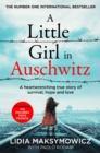 Image for A little girl in Auschwitz  : a heart-wrenching true story of survival, hope and love
