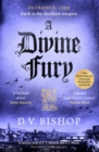 Image for A Divine Fury