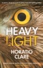 Image for Heavy light  : a journey through madness, mania and healing