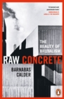 Image for Raw concrete  : the beauty of brutalism
