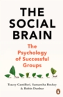 Image for The Social Brain: The Psychology of Successful Groups
