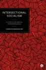 Image for Intersectional Socialism: A Utopia for Radical Interdependence