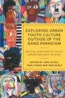 Image for Exploring urban youth culture outside of the gang paradigm  : critical questions of youth, gender and race on-road