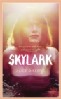 Image for Skylark  : a novel