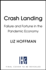 Image for Crash landing  : the inside story of how the world&#39;s biggest companies survived an economy on the brink
