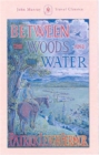 Image for Between the woods and the water  : on foot to Constantinople from the Hook of Holland