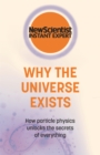 Image for Why the universe exists  : how particle physics unlocks the secrets of everything