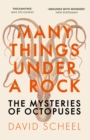 Image for Many things under a rock  : the mysteries of octopuses