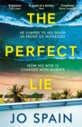 Image for The perfect lie